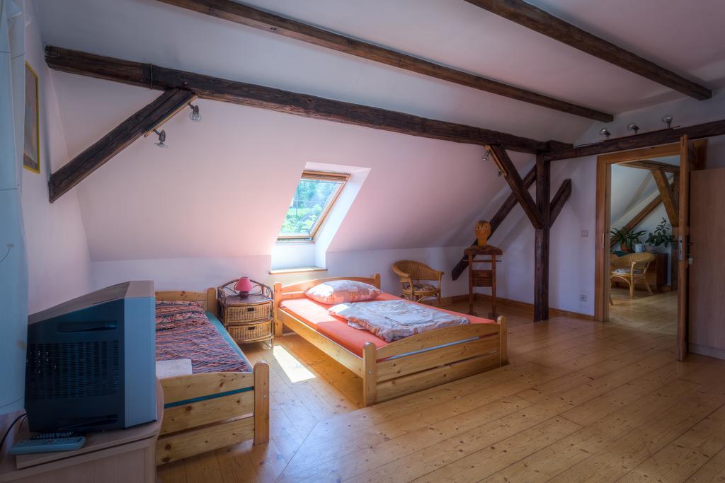 Penzion U Dracice Hotel Nová Bystřice Екстериор снимка