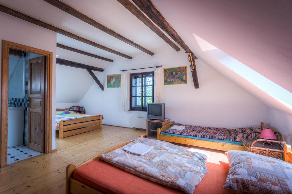 Penzion U Dracice Hotel Nová Bystřice Екстериор снимка