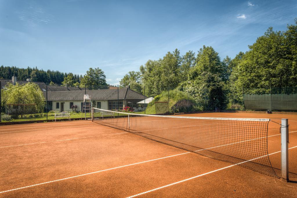 Penzion U Dracice Hotel Nová Bystřice Екстериор снимка